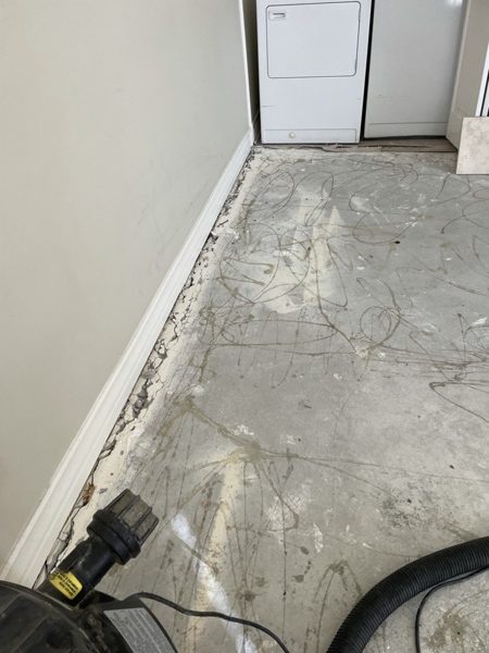 Slab scraped and cleaned — Beverly Hills, 2022
