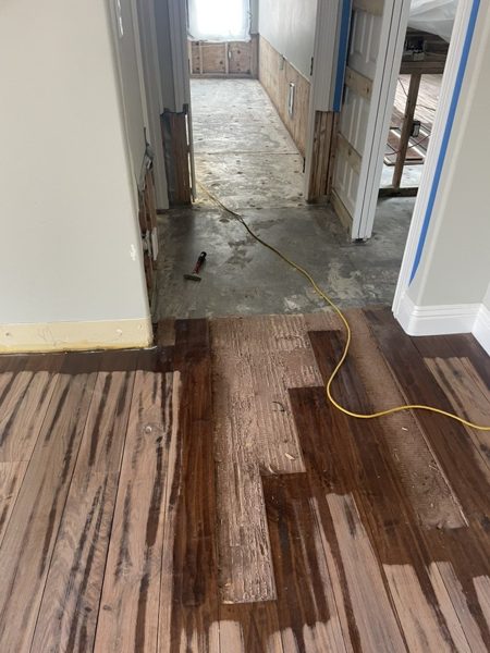 Stain coat going on — Encino, 2026