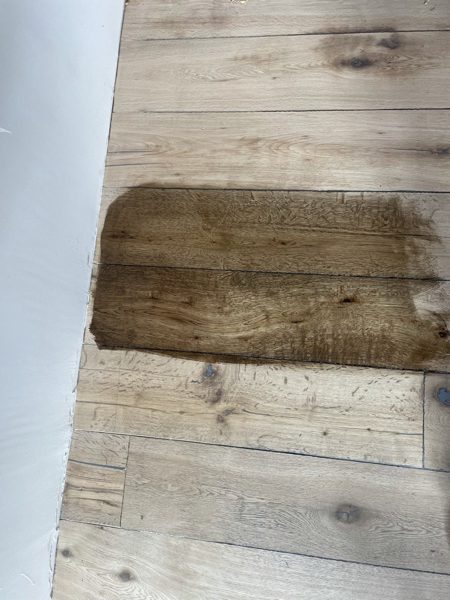 Stain test on floor — Santa Monica, 2024